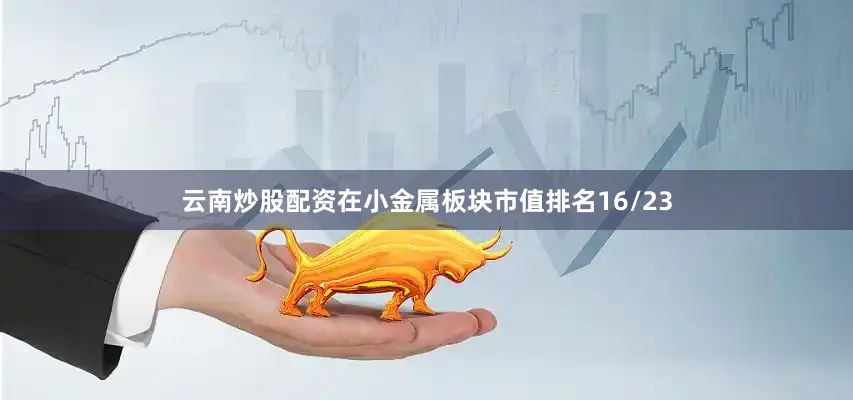 云南炒股配资在小金属板块市值排名16/23