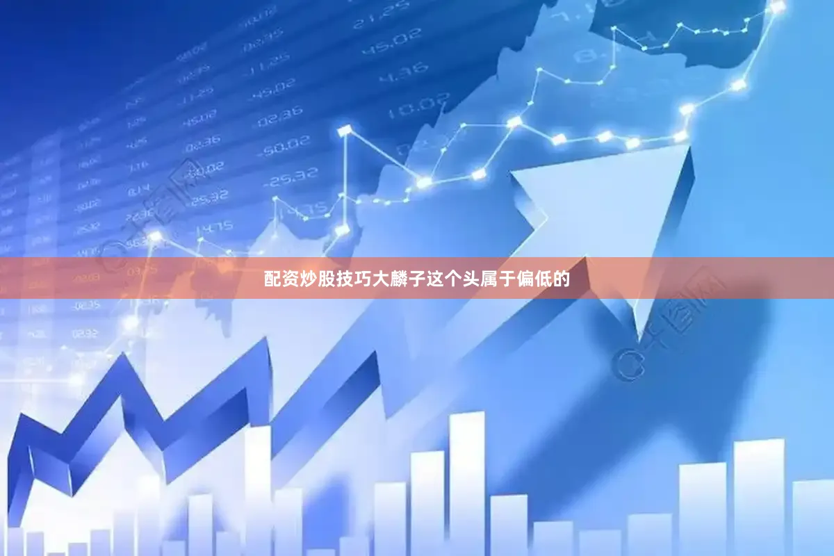配资炒股技巧大麟子这个头属于偏低的
